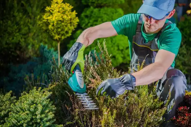 landscaping services Weweantic